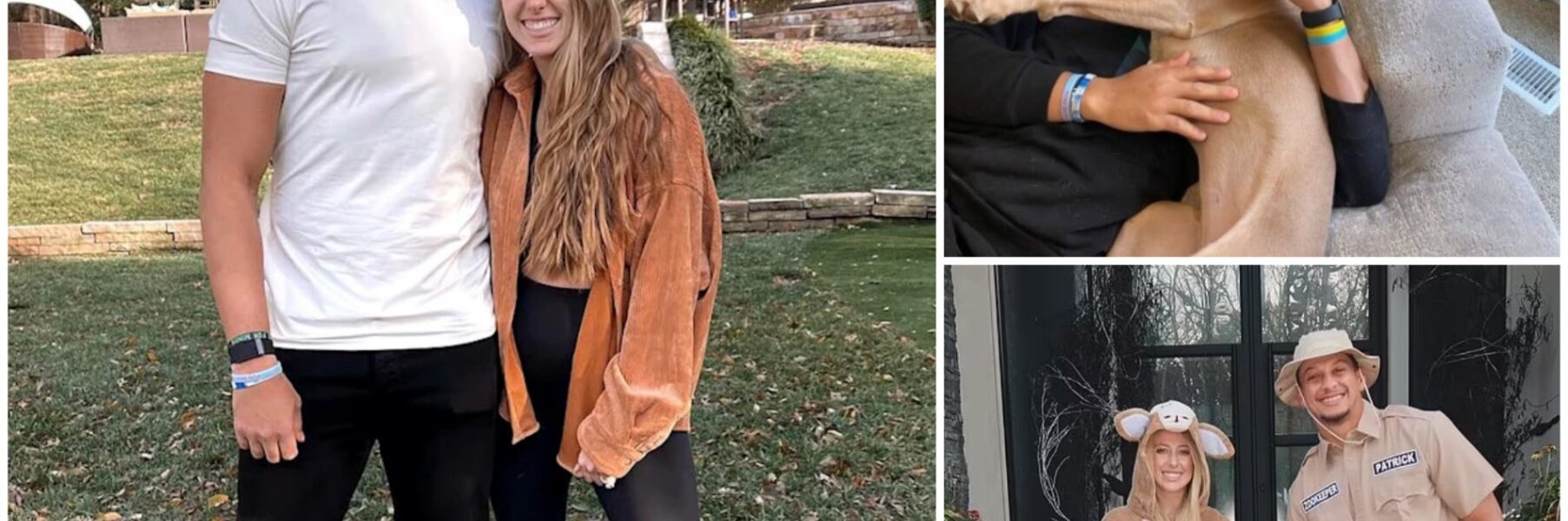 Patrick Mahomes’ Quiet Play: How the NFL Superstar Saved 39 Dogs and a Shelter on the Brink