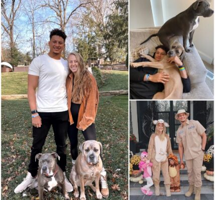 Patrick Mahomes’ Quiet Play: How the NFL Superstar Saved 39 Dogs and a Shelter on the Brink