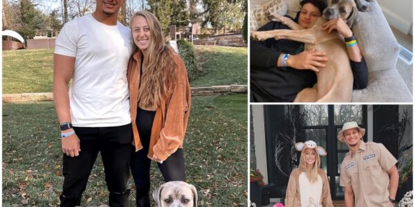Patrick Mahomes’ Quiet Play: How the NFL Superstar Saved 39 Dogs and a Shelter on the Brink