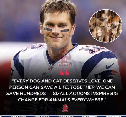 No Spotlight, No Cheers: Tom Brady, Patriots’ Legendary QB, Quietly Saves Dogs and Cats, Bringing Hope to Vulnerable Creatures Everywhere