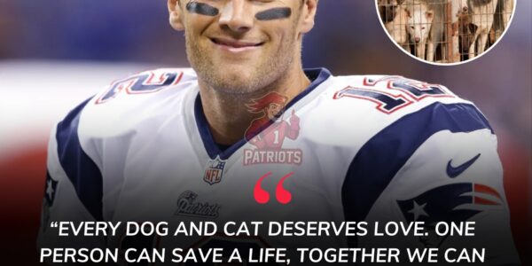 No Spotlight, No Cheers: Tom Brady, Patriots’ Legendary QB, Quietly Saves Dogs and Cats, Bringing Hope to Vulnerable Creatures Everywhere