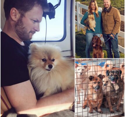 Dale Earnhardt Jr. quietly walked into a small North Carolina animal rescue shelter on the verge of closing — with just 48 hours left before all the dogs inside would face an uncertain fate.