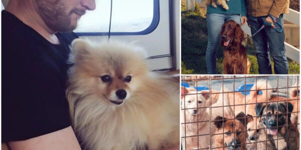 Dale Earnhardt Jr. quietly walked into a small North Carolina animal rescue shelter on the verge of closing — with just 48 hours left before all the dogs inside would face an uncertain fate.