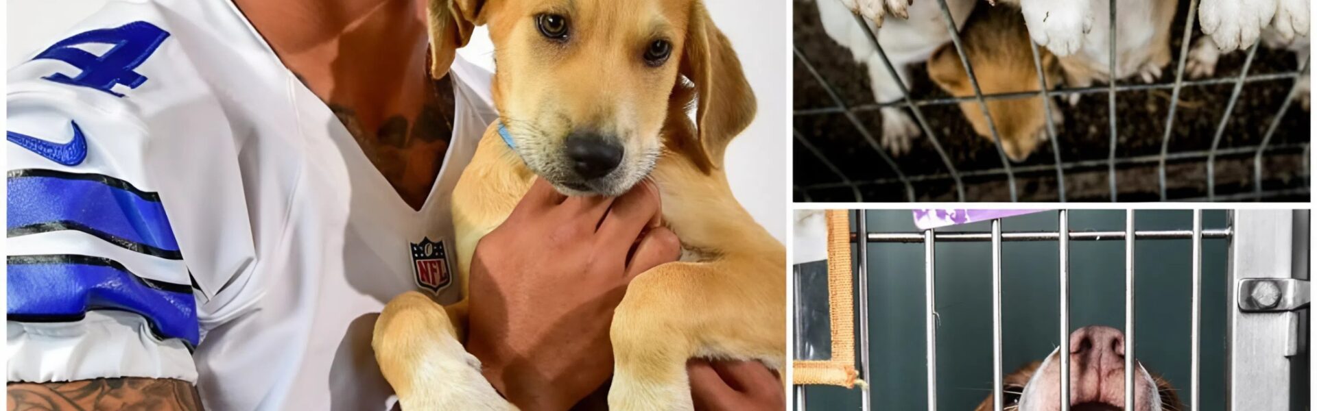 Dak Prescott’s Quiet Rescue: How a Cowboys Star Saved 39 Forgotten Lives