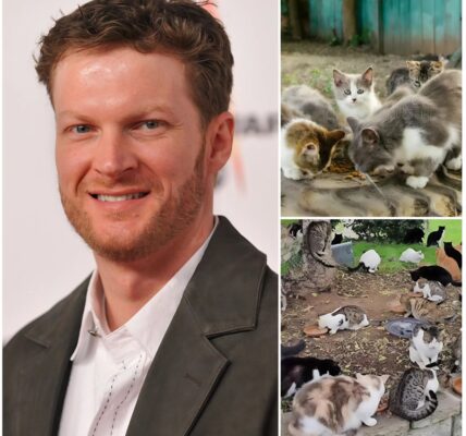 DALE EARNHARDT JR. LAUNCHES $5 MILLION ANIMAL SANCTUARY