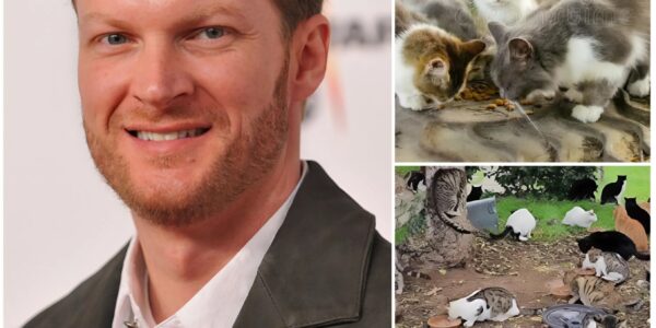 DALE EARNHARDT JR. LAUNCHES $5 MILLION ANIMAL SANCTUARY