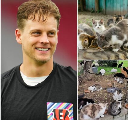 JOE BURROW LAUNCHES $5 MILLION SANCTUARY FOR ABANDONED ANIMALS