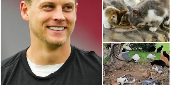JOE BURROW LAUNCHES $5 MILLION SANCTUARY FOR ABANDONED ANIMALS