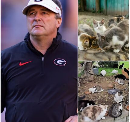 COACH KIRBY SMART BUILDS $5 MILLION SANCTUARY FOR ABANDONED ANIMALS