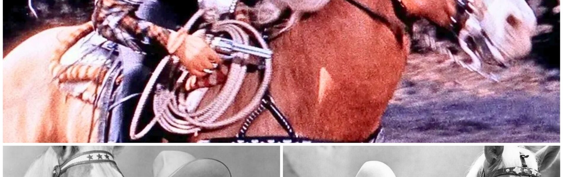 THE HORSE THAT NEVER DIED — BECAUSE ROY ROGERS WOULDN’T LET HIM