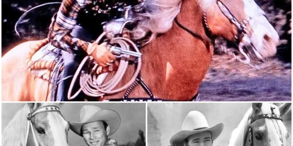 THE HORSE THAT NEVER DIED — BECAUSE ROY ROGERS WOULDN’T LET HIM