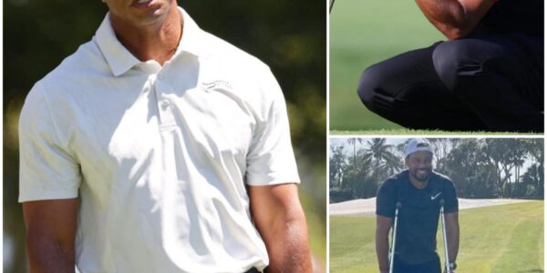 At age 49, Tiger Woods made the most heartbreaking announcement about his health in years, a continuation of the health struggles he has been plagued with since his 2019 Masters victory. Leaving fans crying and praying for the golf legend.