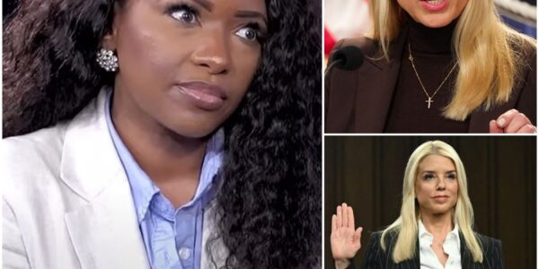 Pam Bondi thought she could embarrass Rep. Jasmine Crockett with a mocking insult...
