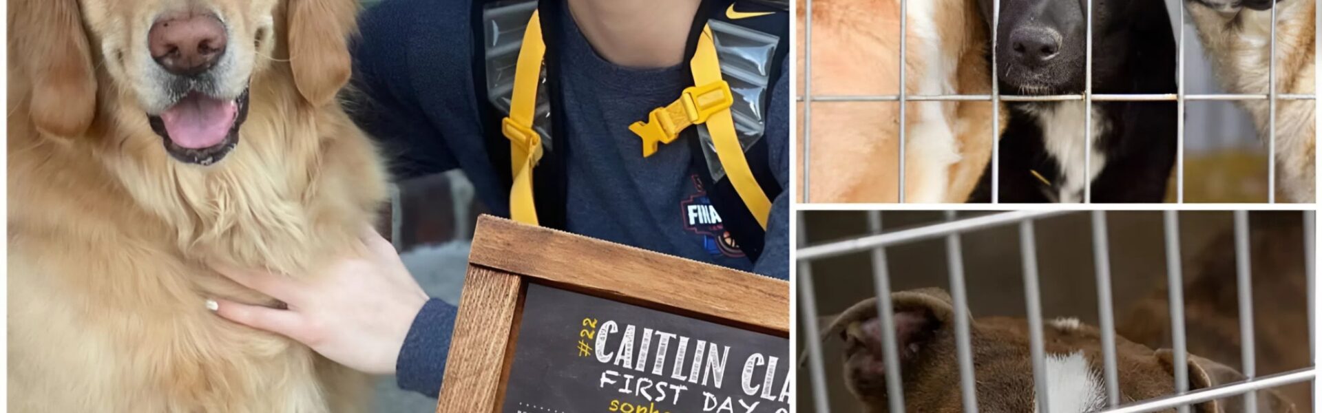 Caitlin Clark’s Quiet Rescue: How a WNBA Star Saved 39 Forgotten Lives