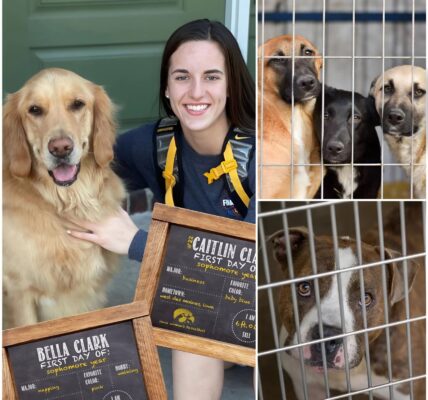Caitlin Clark’s Quiet Rescue: How a WNBA Star Saved 39 Forgotten Lives