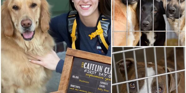 Caitlin Clark’s Quiet Rescue: How a WNBA Star Saved 39 Forgotten Lives