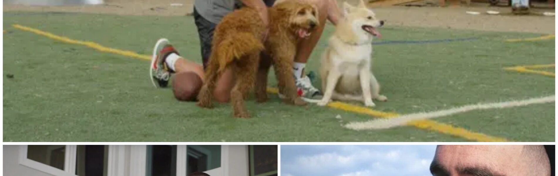 “ALL 39 DOGS DESERVE A TOMORROW”: TRAVIS KELCE’S QUIET ACT OF KINDNESS THAT SAVED A SHELTER — AND 39 LIVES