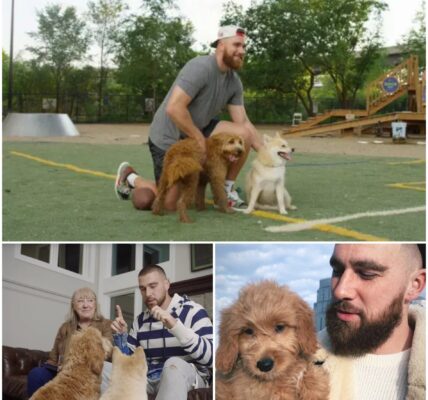 “ALL 39 DOGS DESERVE A TOMORROW”: TRAVIS KELCE’S QUIET ACT OF KINDNESS THAT SAVED A SHELTER — AND 39 LIVES