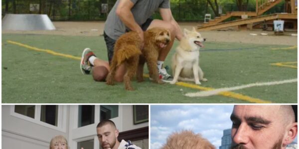 “ALL 39 DOGS DESERVE A TOMORROW”: TRAVIS KELCE’S QUIET ACT OF KINDNESS THAT SAVED A SHELTER — AND 39 LIVES
