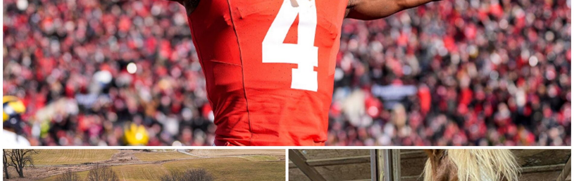“FREEDOM RANCH”: OHIO STATE STAR JEREMIAH SMITH BUILDS A $4 MILLION HAVEN FOR ABANDONED HORSES — AND A NEW LEGACY BEYOND FOOTBALL