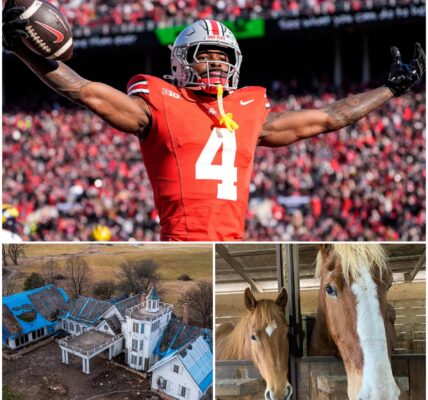 “FREEDOM RANCH”: OHIO STATE STAR JEREMIAH SMITH BUILDS A $4 MILLION HAVEN FOR ABANDONED HORSES — AND A NEW LEGACY BEYOND FOOTBALL