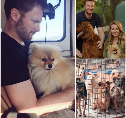 Dale Earnhardt Jr.’s Quiet Act of Kindness: The NASCAR Legend Who Saved 39 Dogs — and a Failing Shelter…