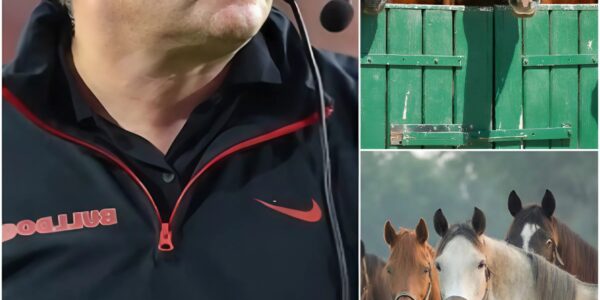 Kirby Smart Unveils $6 Million “Freedom Ranch” to Rescue Abandoned Horses