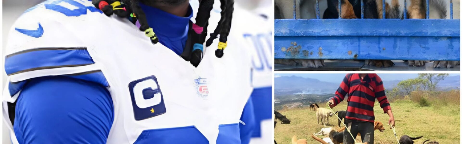 CeeDee Lamb’s Greatest Touchdown Yet — A $5 Million Sanctuary Giving Stray Dogs a Second Chance at Life