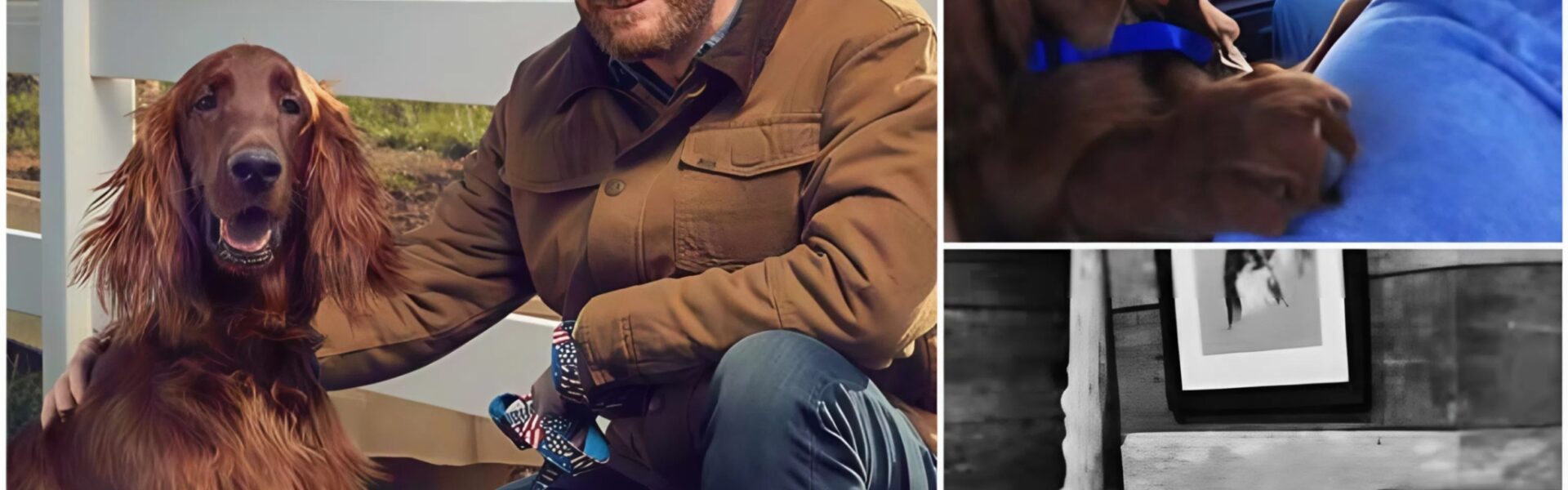 Dale Earnhardt Jr. Breaks Silence With Heartfelt Message to Lewis Hamilton — Then Shocks NASCAR Fans With His Own Tragic Loss