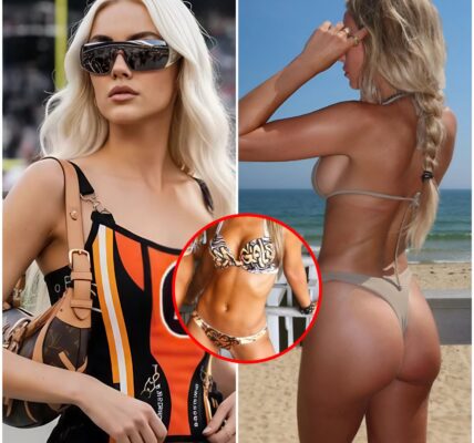 “The Roar Before the Storm”: How One Fan’s Wild Promise Turned Bengals–