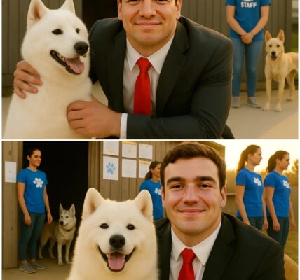 Georgia Quarterback Gunner Stockton Quietly Saves Dozens of Shelter Dogs from Euthanasia