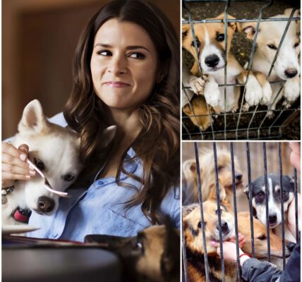 Danica Patrick – The Race of Compassion: 18 Lives Saved, Millions Inspired 🏁🐾