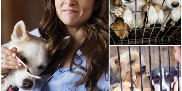 Danica Patrick – The Race of Compassion: 18 Lives Saved, Millions Inspired 🏁🐾