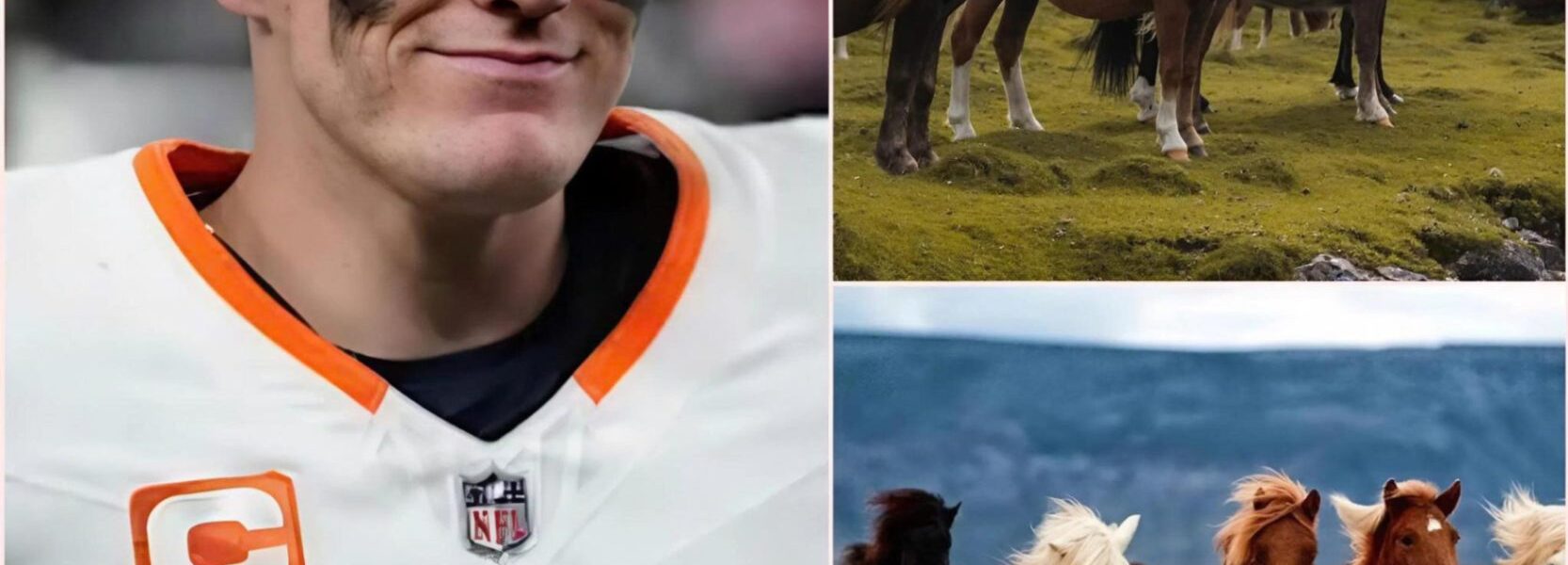 BRONCOS’ NEW LEGACY: Bo Nix, the rising star of the Denver Broncos, has stunned Colorado by unveiling “Mile High Meadows” — a 175-acre, $7.5 million refuge near Denver that not only rescues neglected horses from certain doom but also opens its gates to underprivileged kids, teaching them compassion, responsibility, and resilience in a sanctuary of hope. Fans are calling it the boldest play of his young career, a gesture that cements Nix as more than a quarterback — but as a leader whose story stretches far beyond Empower Field at Mile High…