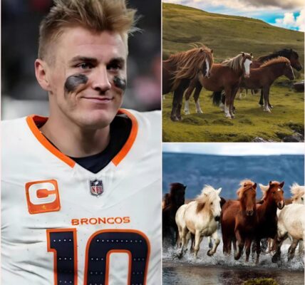 BRONCOS’ NEW LEGACY: Bo Nix, the rising star of the Denver Broncos, has stunned Colorado by unveiling “Mile High Meadows” — a 175-acre, $7.5 million refuge near Denver that not only rescues neglected horses from certain doom but also opens its gates to underprivileged kids, teaching them compassion, responsibility, and resilience in a sanctuary of hope. Fans are calling it the boldest play of his young career, a gesture that cements Nix as more than a quarterback — but as a leader whose story stretches far beyond Empower Field at Mile High…