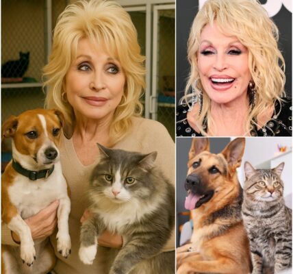 HEARTWARMING NEWS: Dolly Parton pledges $1 million to launch a state-of-the-art dog and cat sanctuary — a loving mission from the country music queen whose compassion for animals shines as brightly as her legendary voice.