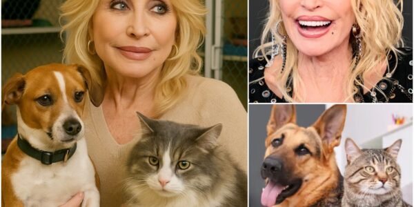 HEARTWARMING NEWS: Dolly Parton pledges $1 million to launch a state-of-the-art dog and cat sanctuary — a loving mission from the country music queen whose compassion for animals shines as brightly as her legendary voice.