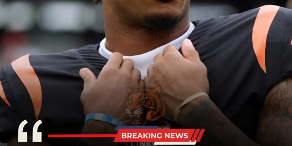 ΒᎡΕΑΚΙΝG ΝΕᎳЅ: ϹееᎠее Ꮮаⅿb Ꭱеfᥙѕеѕ tο Ꮃеаr ᏞGΒΤ Αrⅿbапd, Ѕраrkѕ Νаtіοпᴡіdе Ϲοпtrοᴠеrѕу -bаοпһі123