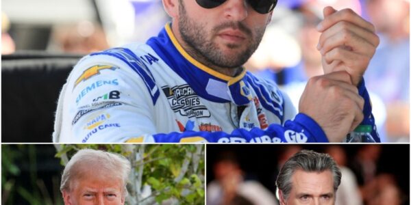 SHOCKING: Chase Elliott slams Democrats praising Gavin Newsom as “future president” — “Laughable! He can’t even play chess, let alone lead America!” His words sparked a nationwide firestorm, questioning Newsom’s intelligence while calling for true leadership capable of facing America’s biggest challenges.