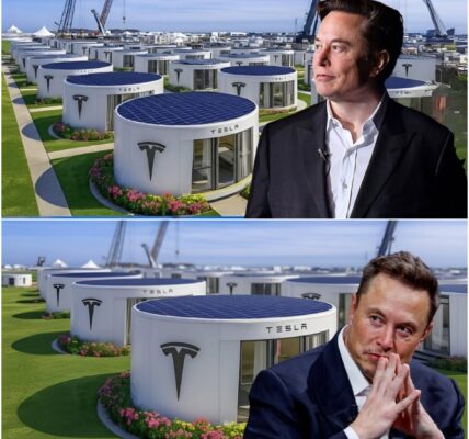 Elon Musk Shocks the World: Tesla’s $7,999 “Tiny House” Officially Launches in the U.S. — But What’s Hidden Behind His Promise of FREE Land and Zero Taxes Has Everyone Talking!