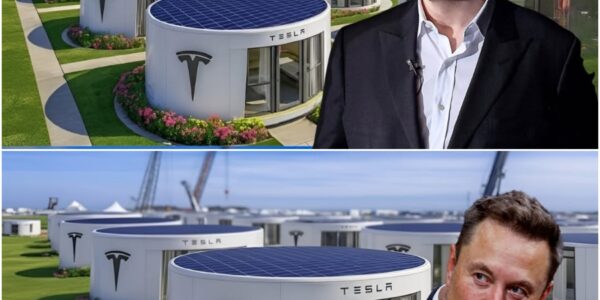 Elon Musk Shocks the World: Tesla’s $7,999 “Tiny House” Officially Launches in the U.S. — But What’s Hidden Behind His Promise of FREE Land and Zero Taxes Has Everyone Talking!
