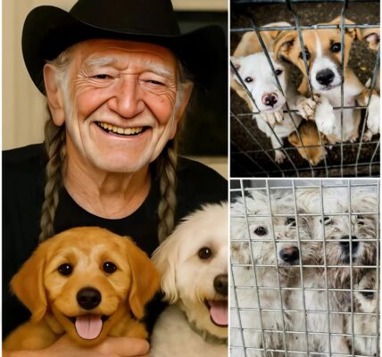 Willie Nelson – The Song of Compassion: 18 Lives Saved, Millions Inspired