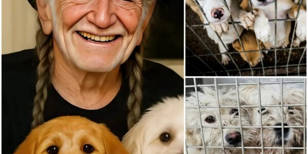 Willie Nelson – The Song of Compassion: 18 Lives Saved, Millions Inspired
