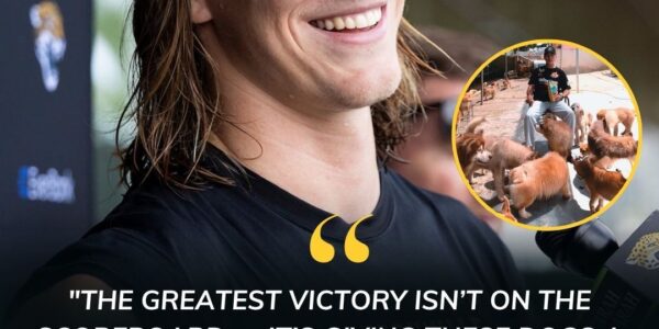 Trevor Lawrence launches $5M “Paws of Hope” sanctuary — giving stray dogs love, care, and a second chance