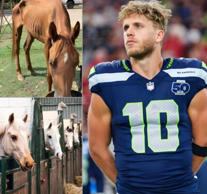 Cooper Kupp: Seahawks Star’s $6 Million Gift to Horse Sanctuary Reveals Heart Behind the Athlete