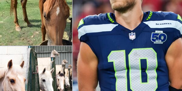 Cooper Kupp: Seahawks Star’s $6 Million Gift to Horse Sanctuary Reveals Heart Behind the Athlete