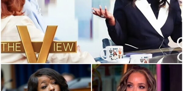 🔥 “You Don’t Know Where I’ve Used My Voice”: Jasmine Crockett’s 15-Word Response That Silenced The View — And America