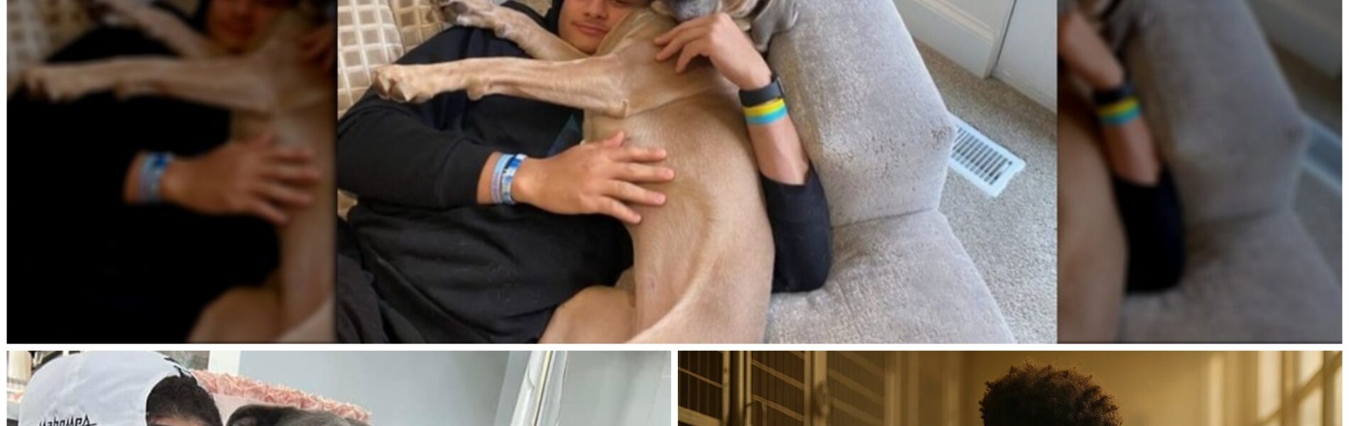 🏈 BREAKING HEARTS AND BARRIERS: PATRICK MAHOMES SAVES STRUGGLING DOG SHELTER IN MISSOURI — A QUIET ACT OF COMPASSION THAT’S MELTING AMERICA’S HEART