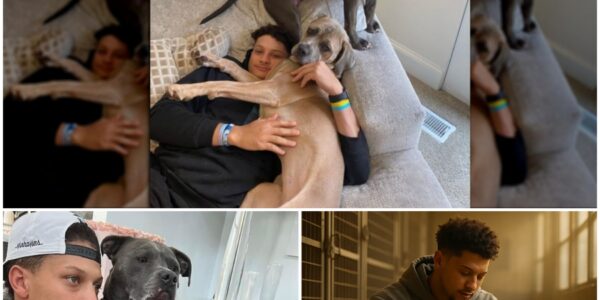 🏈 BREAKING HEARTS AND BARRIERS: PATRICK MAHOMES SAVES STRUGGLING DOG SHELTER IN MISSOURI — A QUIET ACT OF COMPASSION THAT’S MELTING AMERICA’S HEART
