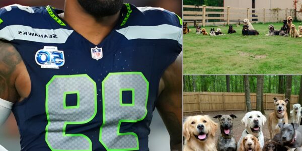 Leonard Williams’ Unexpected Philanthropy: A Sanctuary With Heart